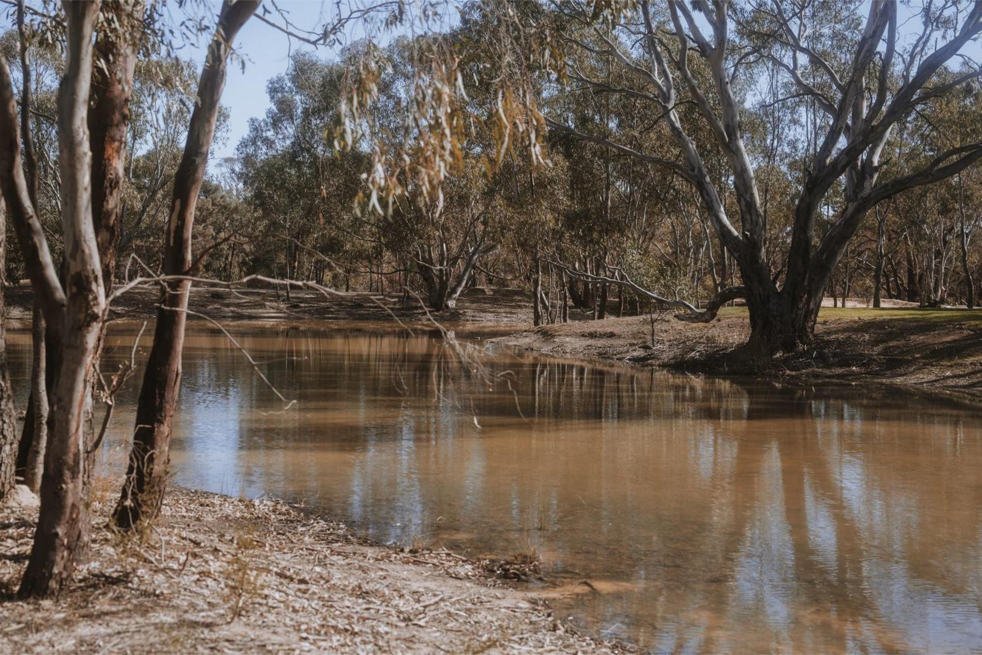 Вилла Tiny House 11 At Grampians Edge Dadswells Bridge Экстерьер фото