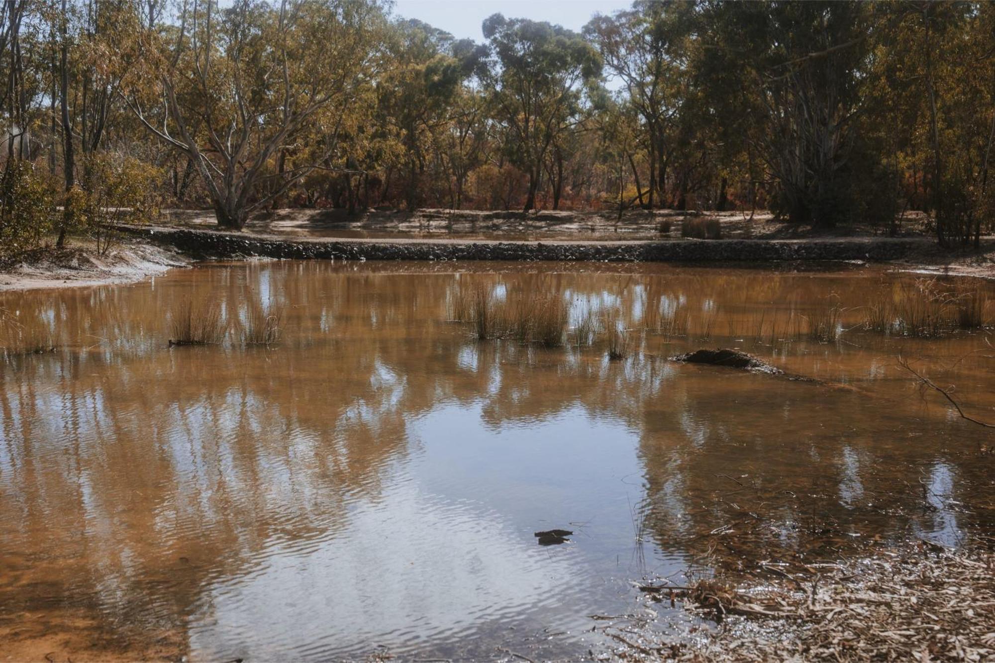 Вилла Tiny House 11 At Grampians Edge Dadswells Bridge Экстерьер фото