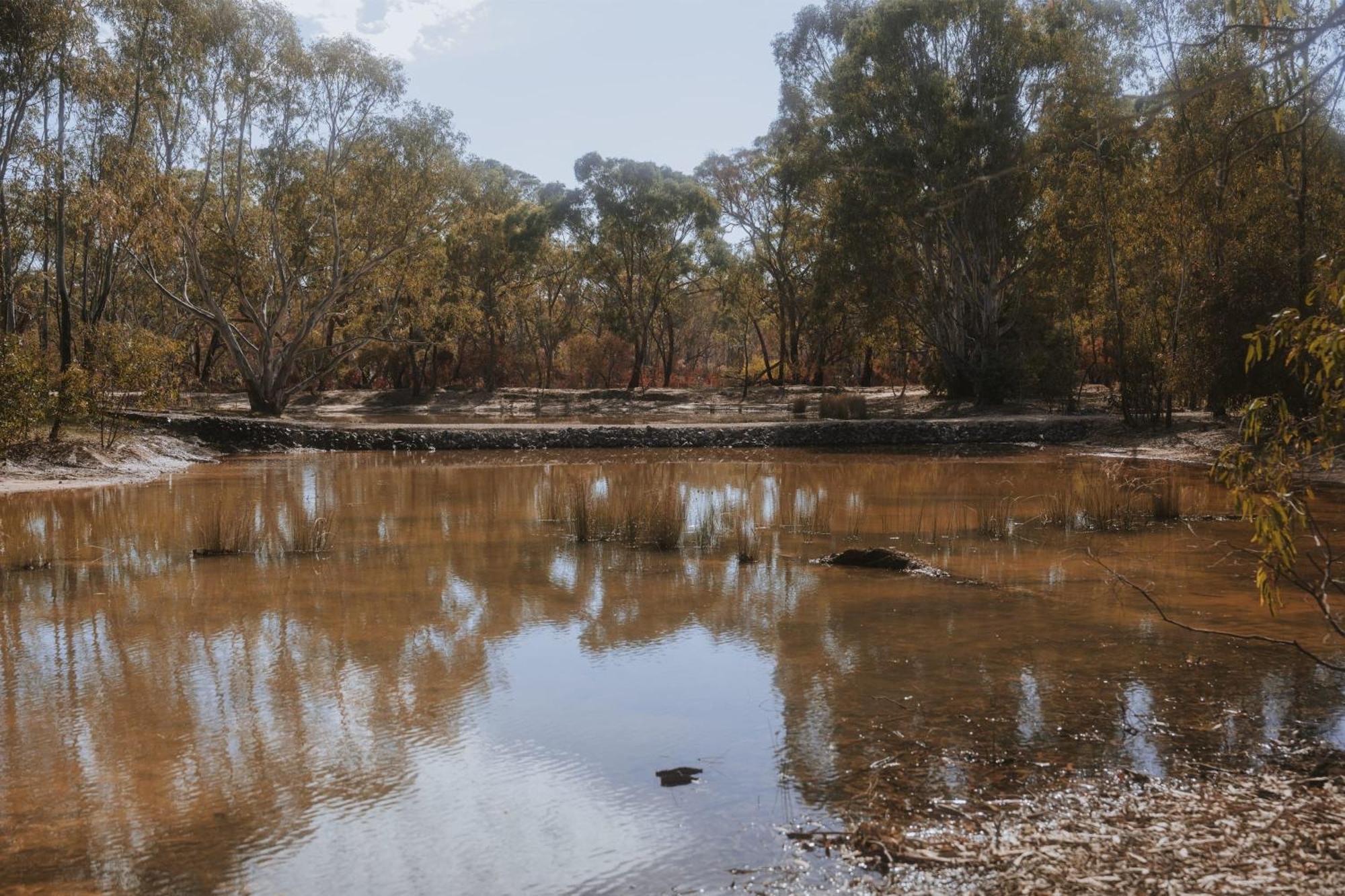 Вилла Tiny House 11 At Grampians Edge Dadswells Bridge Экстерьер фото