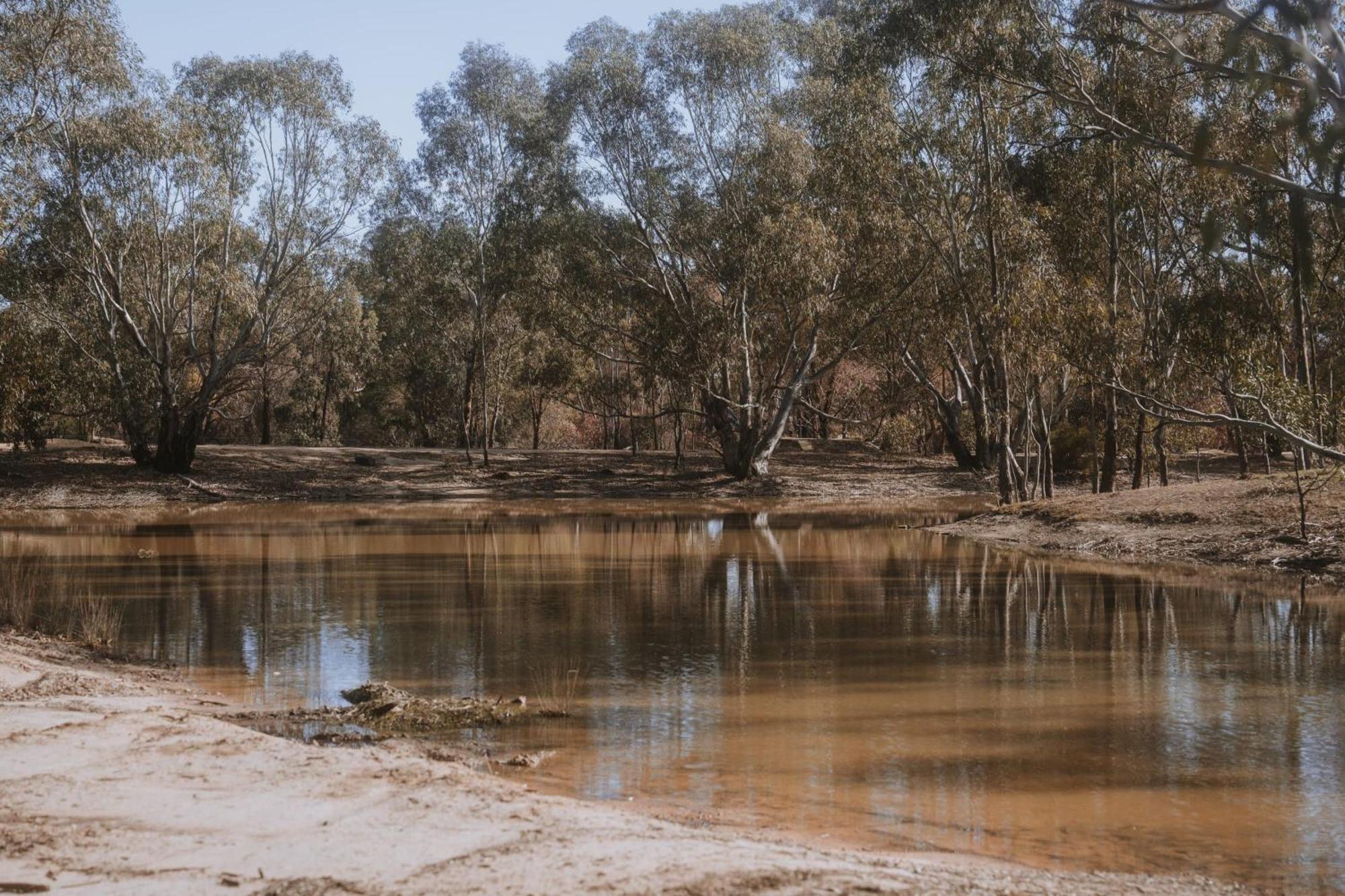 Вилла Tiny House 11 At Grampians Edge Dadswells Bridge Экстерьер фото